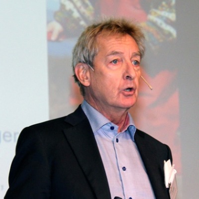 Arne Holte, Professor emeritus